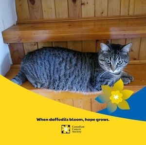 Meet your Posher, Wilma